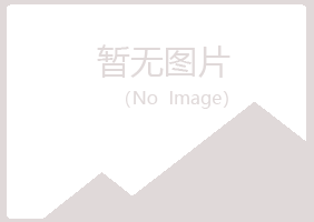 铁法盼夏计算机有限公司